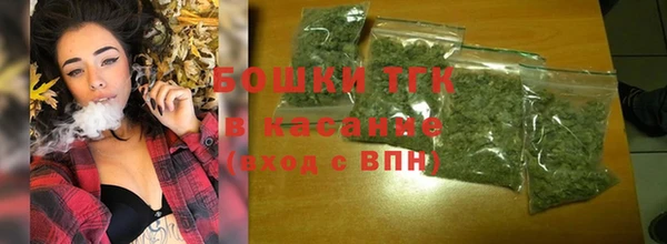 МДПВ Протвино