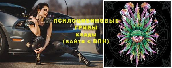 МДПВ Протвино
