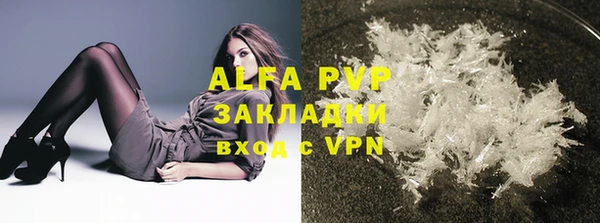спиды Абаза